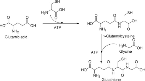 Buy Glutathione Injections | The Master Antioxidant for Detox & Skin Brightening - Image 2